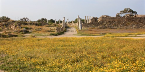 Ancient city of Salamis in spring