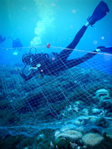 Diver with a fish net underwater in Gozo