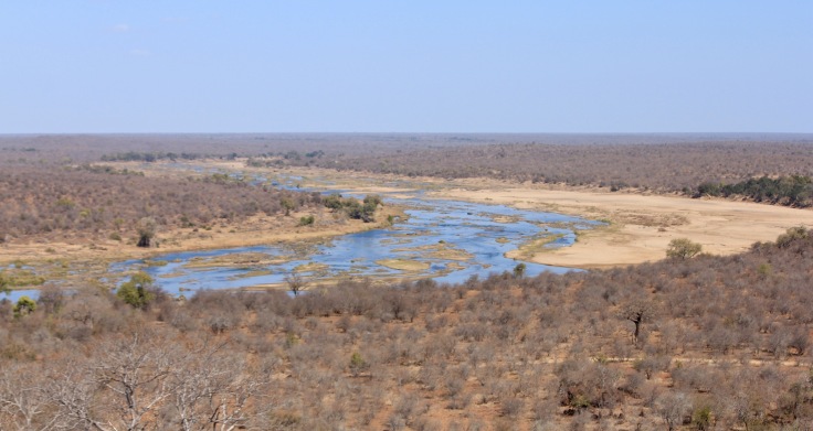 Panoramic view over Olifants river