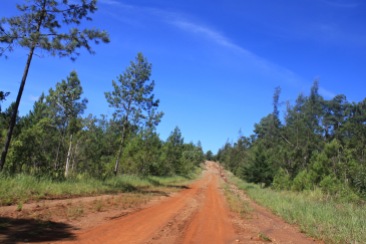 Parque Nacional la Mensura road