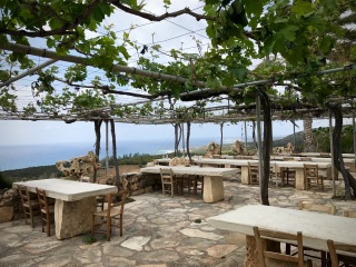 Viklari restaurant terrace shaded by vines