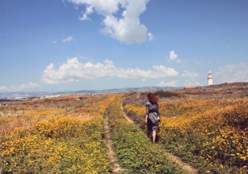 To the lighthouse in Paphos archeological park covered with spring flowers