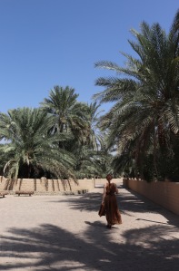 Al Ain Oasis path
