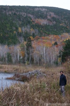 Beaver Dam Pond, Acadia National Park Maine