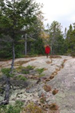 Wonderland trail, Acadia Maine